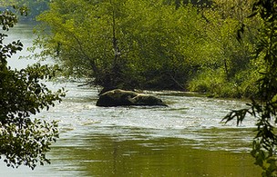 Rivier etang sur arroux